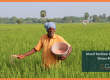Kharif Fertilizer Demand Shows Resilience